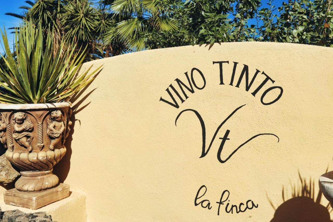Finca Vino Tinto 4 Icod De Los Vinos Eksteriør bilde